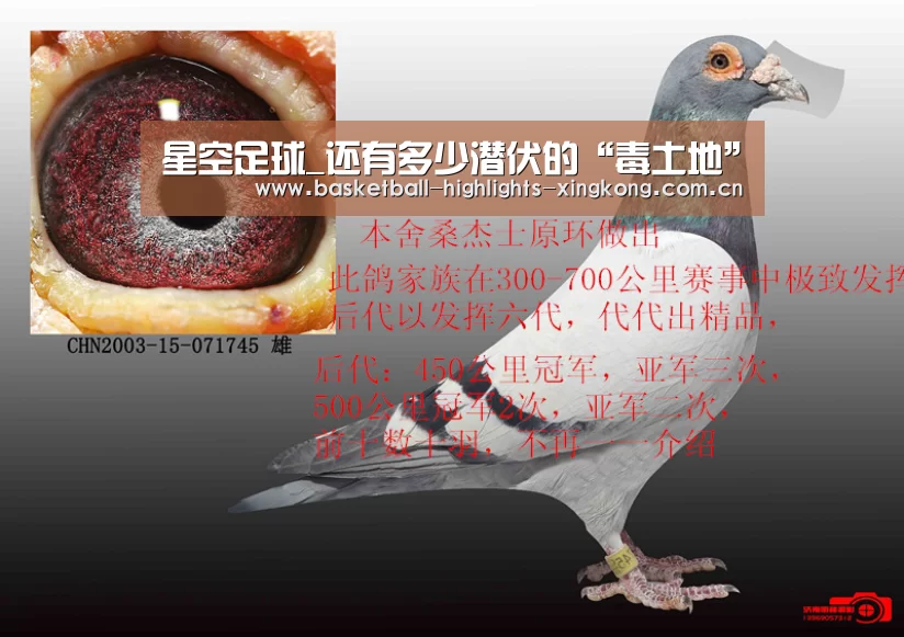 星空体育